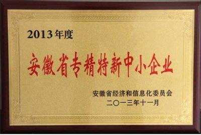 2013年11月 安徽省專(zhuān)精特新企業(yè).jpg